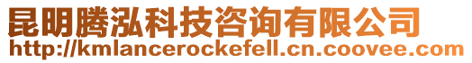 昆明騰泓科技咨詢有限公司