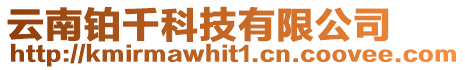 云南鉑千科技有限公司