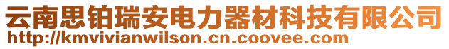 云南思鉑瑞安電力器材科技有限公司