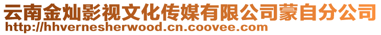 云南金燦影視文化傳媒有限公司蒙自分公司