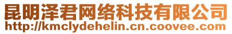 昆明澤君網(wǎng)絡(luò)科技有限公司