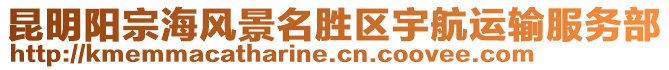 昆明陽宗海風景名勝區宇航運輸服務部