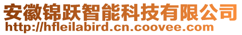 安徽錦躍智能科技有限公司