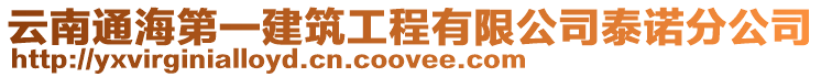 云南通海第一建筑工程有限公司泰諾分公司