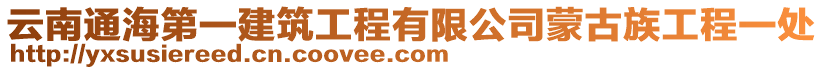 云南通海第一建筑工程有限公司蒙古族工程一處