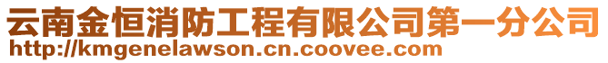 云南金恒消防工程有限公司第一分公司