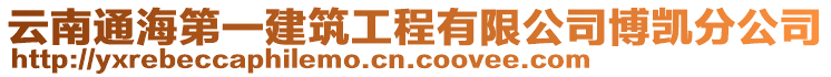 云南通海第一建筑工程有限公司博凱分公司