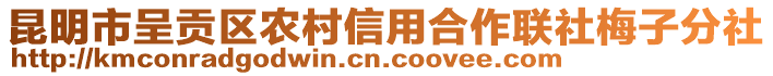 昆明市呈貢區(qū)農村信用合作聯(lián)社梅子分社