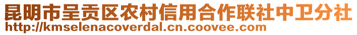 昆明市呈貢區(qū)農(nóng)村信用合作聯(lián)社中衛(wèi)分社