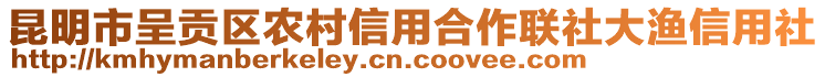 昆明市呈貢區(qū)農(nóng)村信用合作聯(lián)社大漁信用社