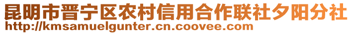 昆明市晉寧區(qū)農(nóng)村信用合作聯(lián)社夕陽分社