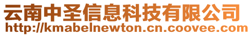 云南中圣信息科技有限公司