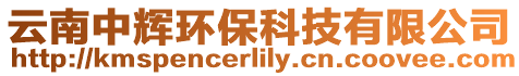 云南中輝環保科技有限公司
