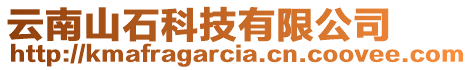 云南山石科技有限公司