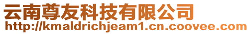 云南尊友科技有限公司
