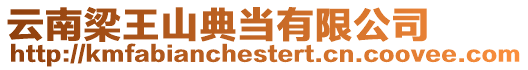 云南梁王山典當有限公司