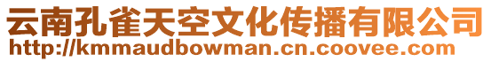 云南孔雀天空文化傳播有限公司