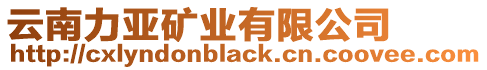 云南力亞礦業有限公司