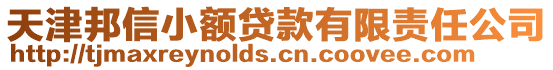 天津邦信小額貸款有限責任公司