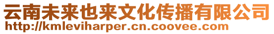 云南未來也來文化傳播有限公司