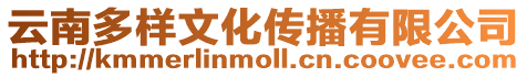 云南多樣文化傳播有限公司