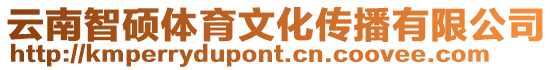 云南智碩體育文化傳播有限公司