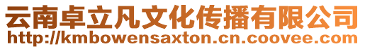 云南卓立凡文化傳播有限公司