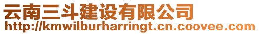 云南三斗建設(shè)有限公司