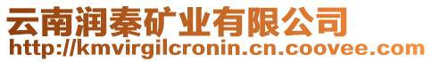 云南潤秦礦業有限公司