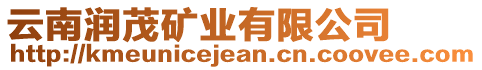 云南潤茂礦業(yè)有限公司