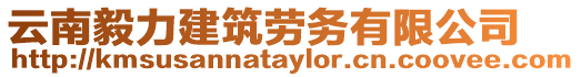 云南毅力建筑勞務有限公司