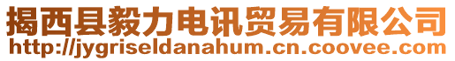 揭西縣毅力電訊貿易有限公司