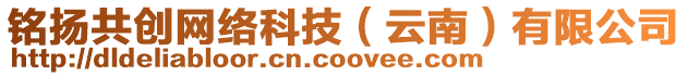 銘揚共創(chuàng)網(wǎng)絡(luò)科技（云南）有限公司