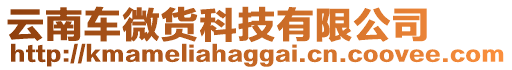 云南車微貨科技有限公司