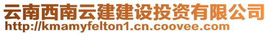 云南西南云建建設投資有限公司