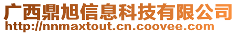 廣西鼎旭信息科技有限公司