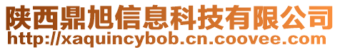 陜西鼎旭信息科技有限公司