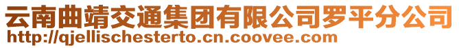 云南曲靖交通集團有限公司羅平分公司