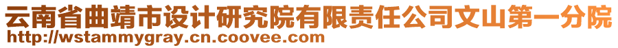 云南省曲靖市設(shè)計研究院有限責(zé)任公司文山第一分院