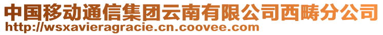 中國移動通信集團云南有限公司西疇分公司