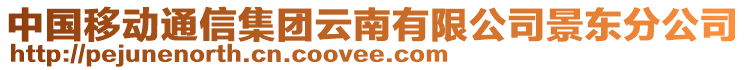 中國移動通信集團(tuán)云南有限公司景東分公司