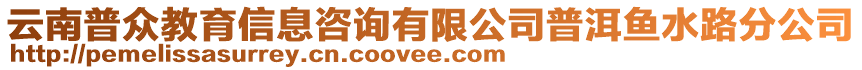 云南普眾教育信息咨詢有限公司普洱魚水路分公司