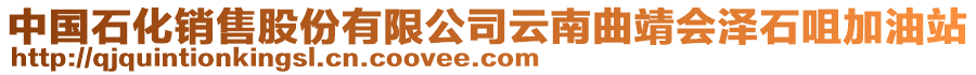 中國石化銷售股份有限公司云南曲靖會澤石咀加油站
