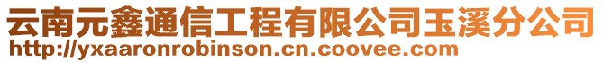 云南元鑫通信工程有限公司玉溪分公司