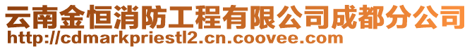 云南金恒消防工程有限公司成都分公司