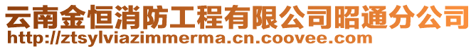 云南金恒消防工程有限公司昭通分公司