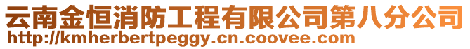 云南金恒消防工程有限公司第八分公司