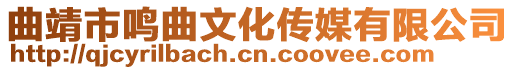 曲靖市鳴曲文化傳媒有限公司