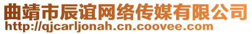 曲靖市辰誼網(wǎng)絡(luò)傳媒有限公司