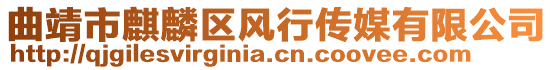 曲靖市麒麟?yún)^(qū)風(fēng)行傳媒有限公司